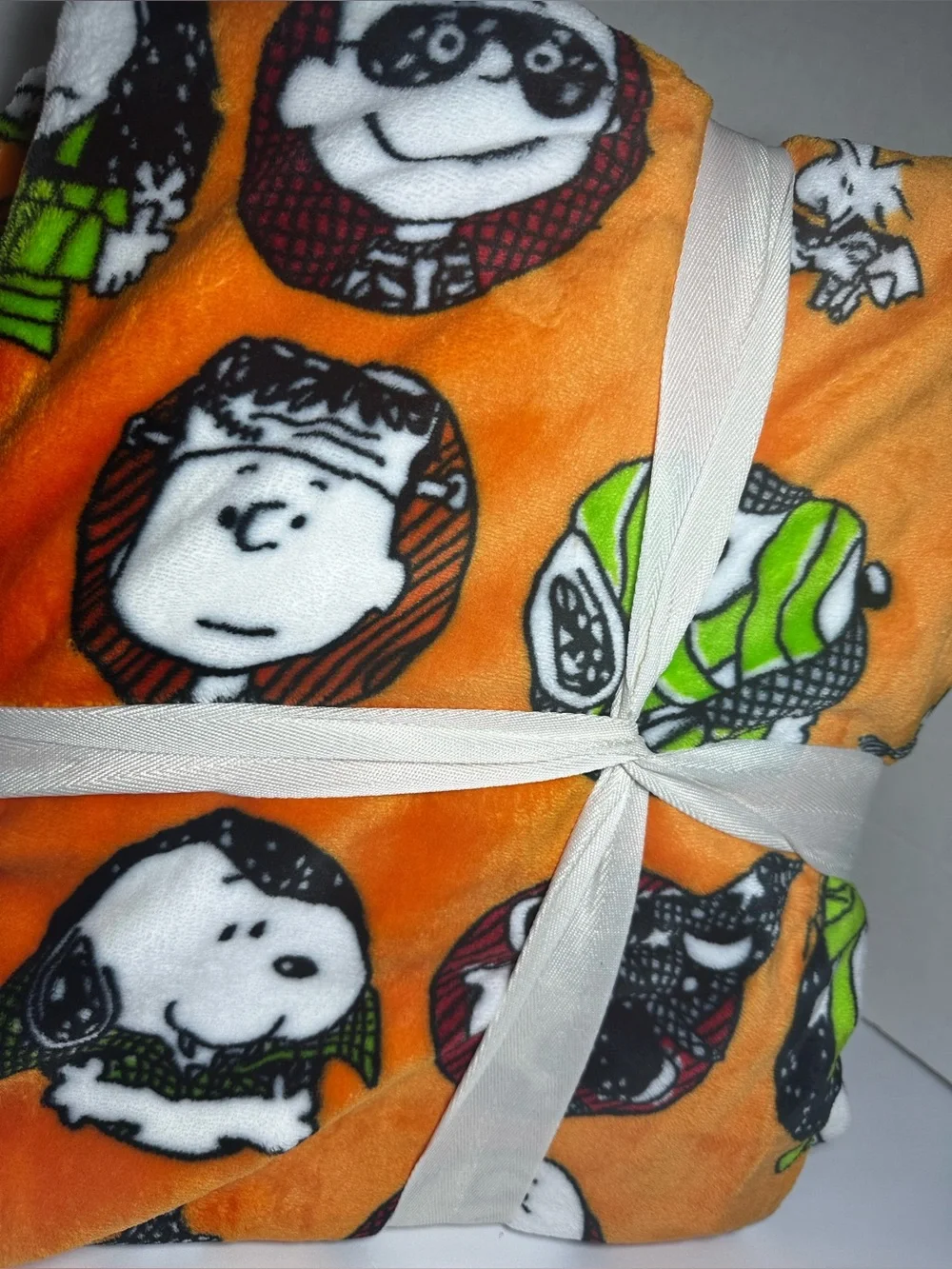 Peanuts Snoopy VelvetLoft Berkshire Twin Blanket Halloween Spooky NWT